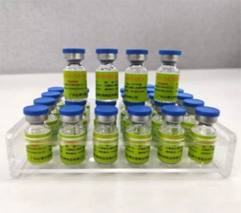 重组人内皮抑素腺病毒注射液 E10A