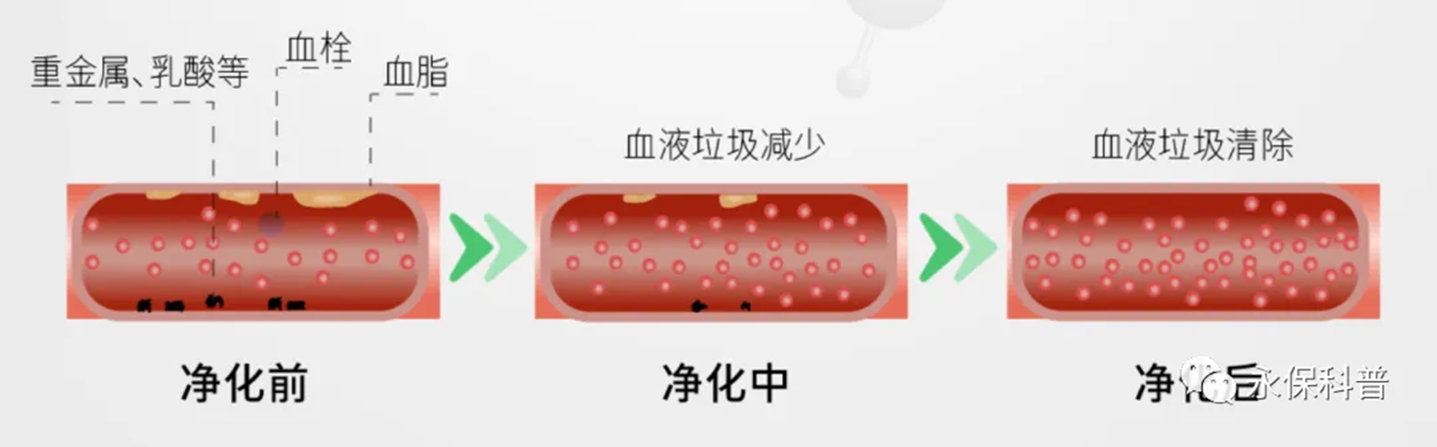 ny28_373307.png image.png