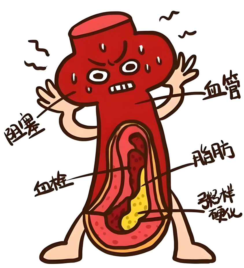 ny28_935661.png ny28_935661.png