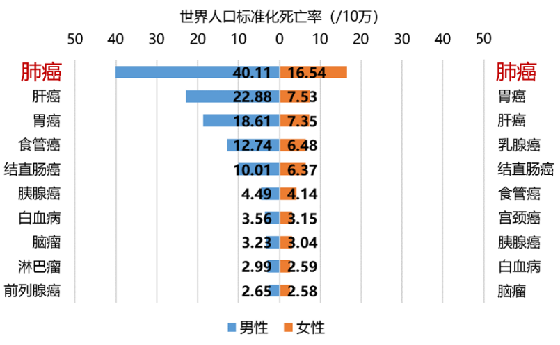 ny10_791357.png nn22.png