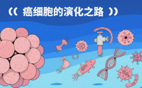 癌耐药 = 判死刑？别被误导！癌细胞的 “软肋” 藏在这，新疗法已来