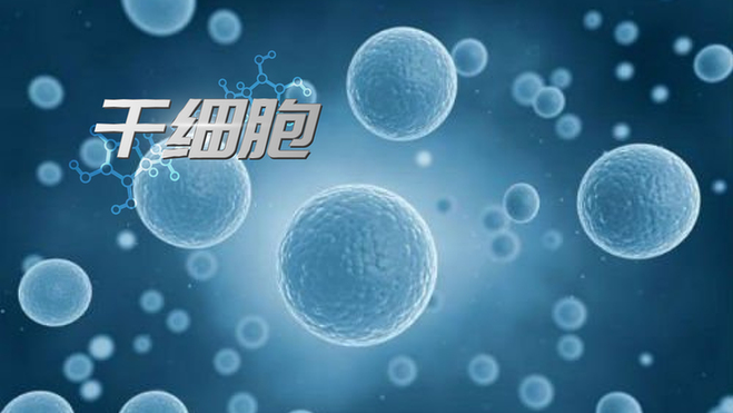 人体的“抗癌卫士”&抗衰密码！博鳌乐城为何领先？